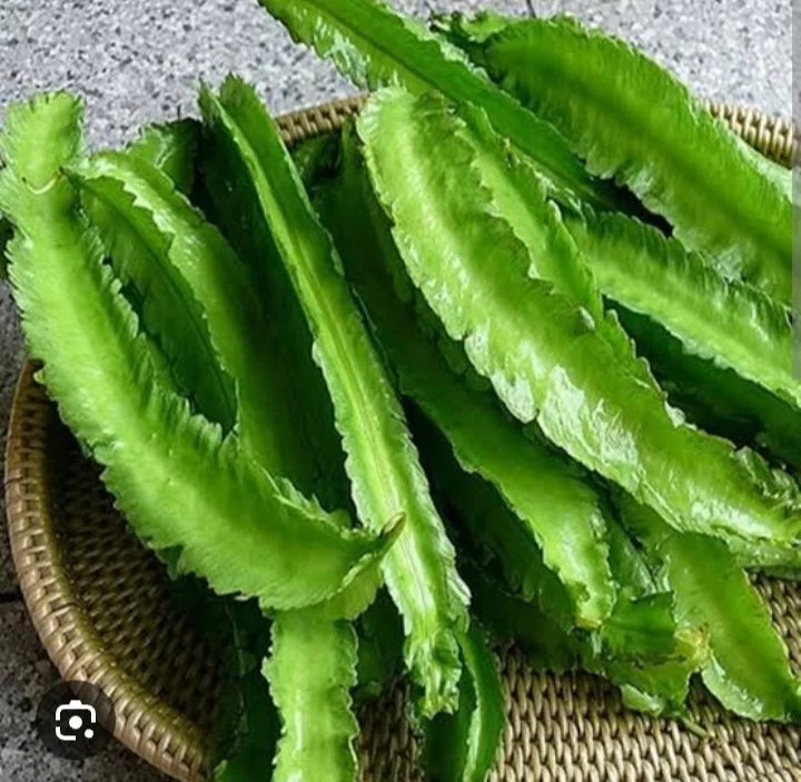 Kecipir