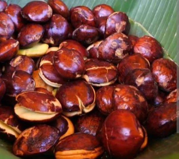 Jengkol