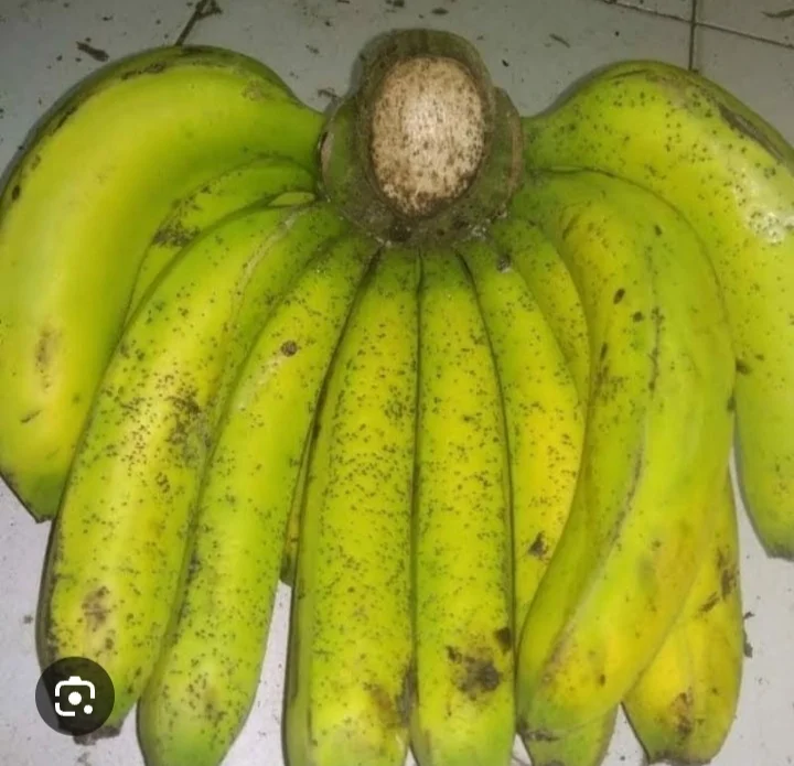 Pisang Ambon