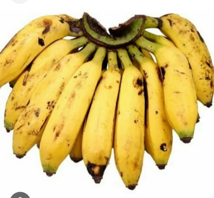 Pisang Uli