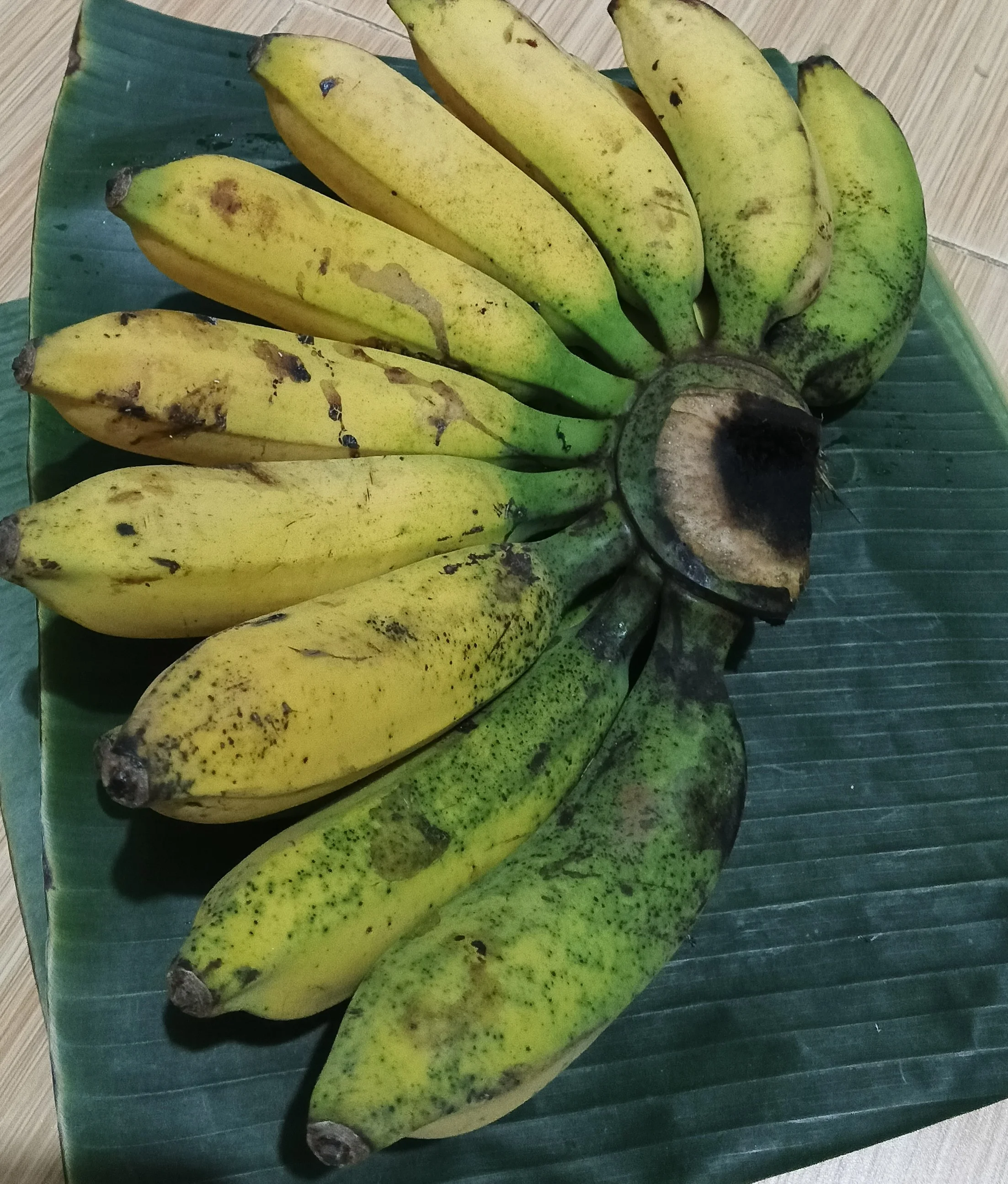 Pisang Raja