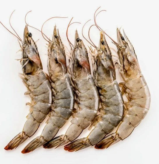Udang Vaname