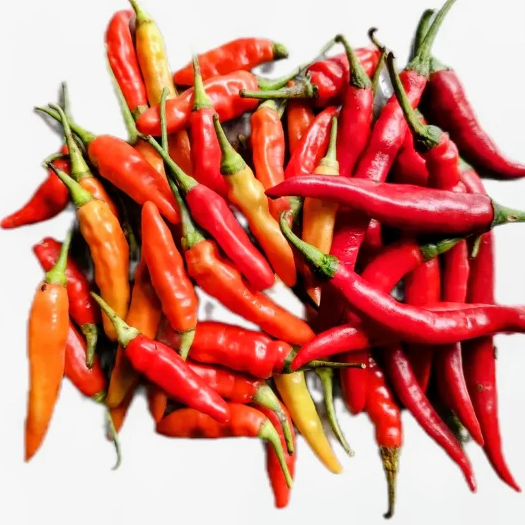 Cabe ORI Campur Merah