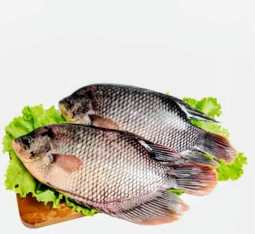 Ikan Gurame