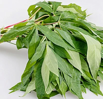 Daun Singkong