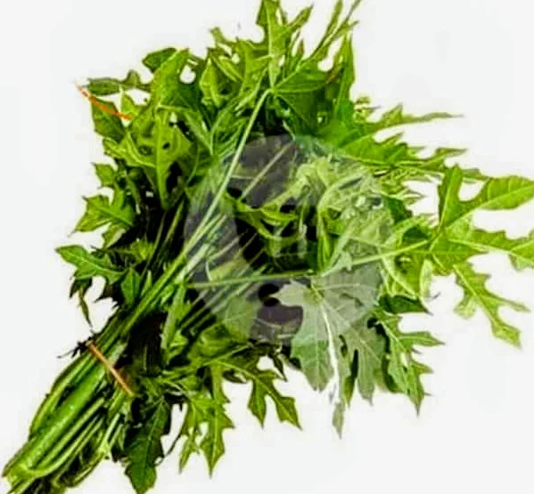 Daun Pepaya