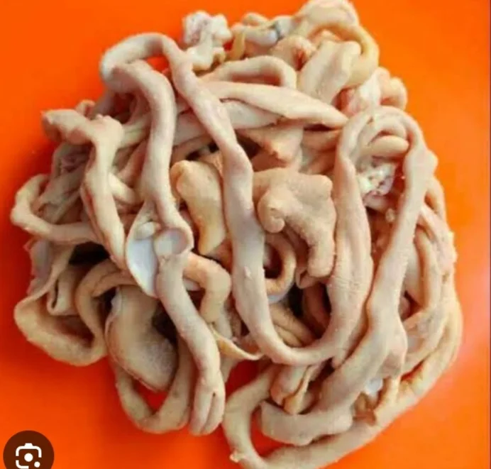 Usus Ayam