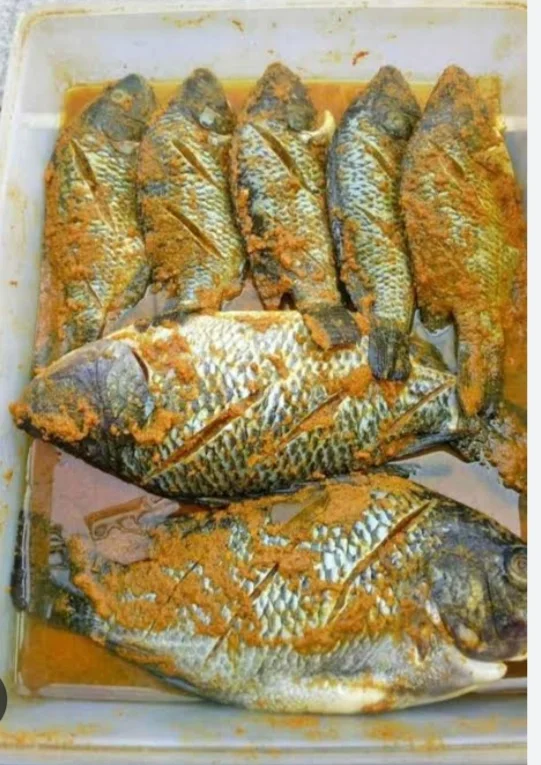 Nila Marinasi