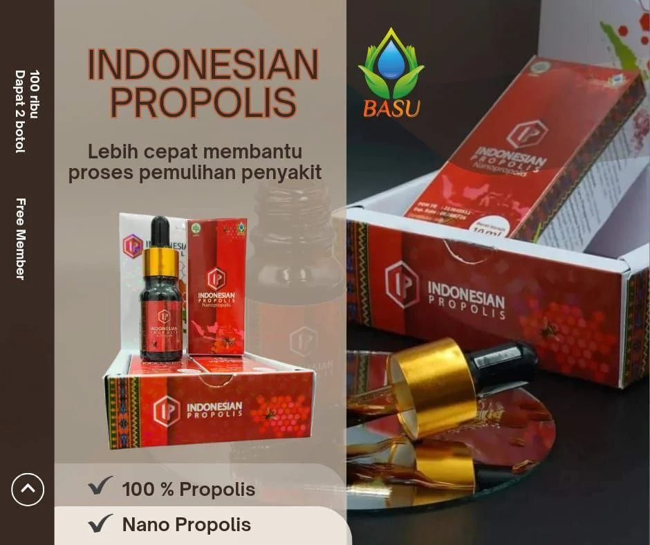 Indonedian propolis