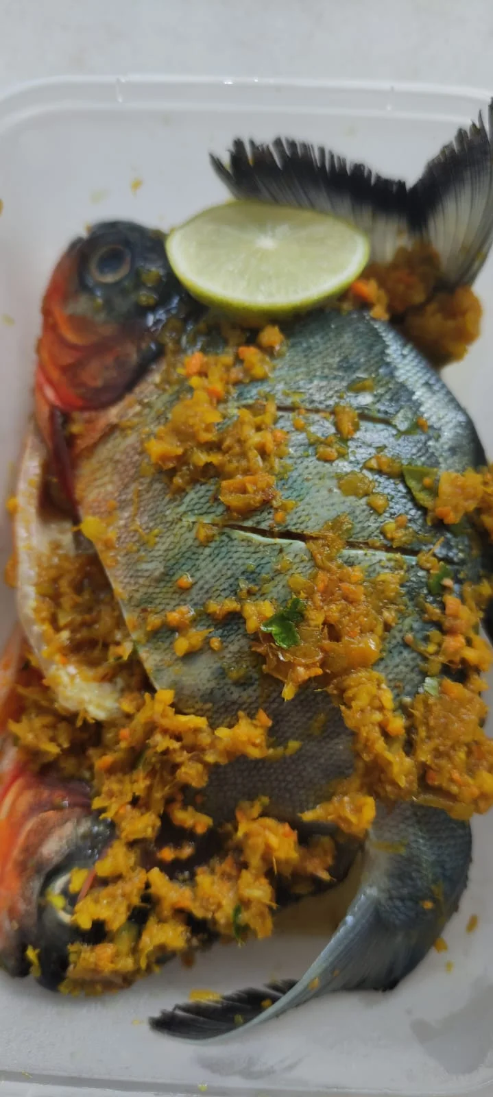 Ikan Kembung