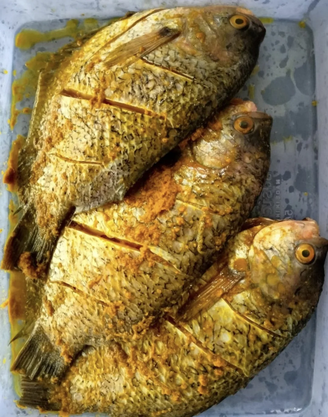 Ikan Gurame Marinasi
