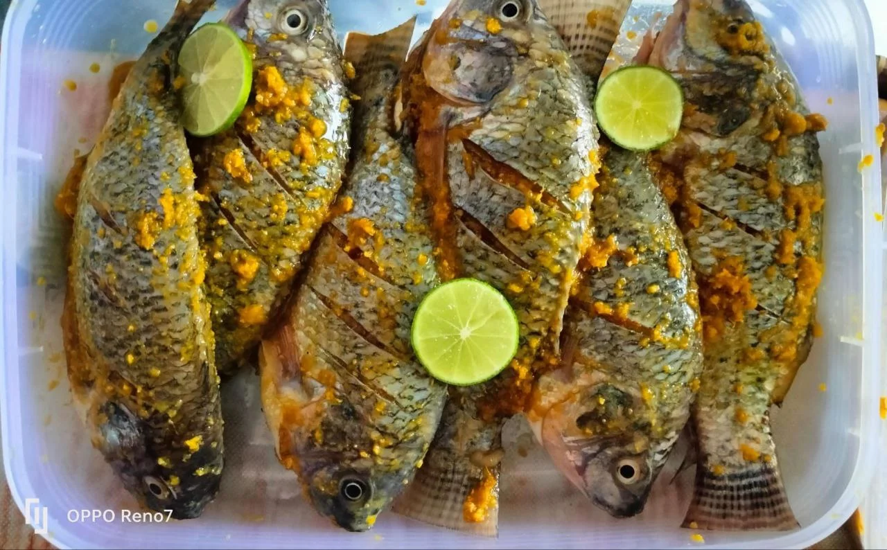 Ikan Mujair Marinasi