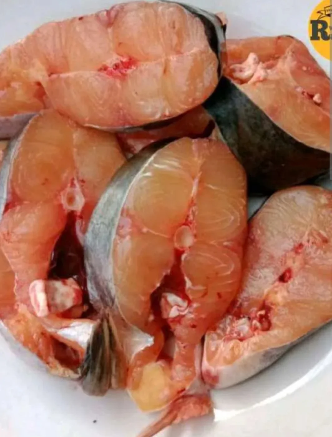 Ikan Fatin