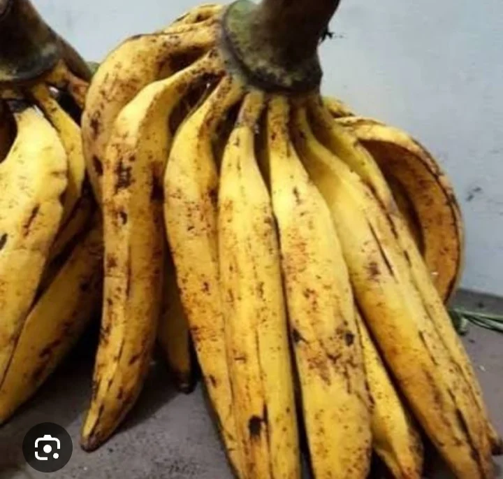 Pisang Tanduk