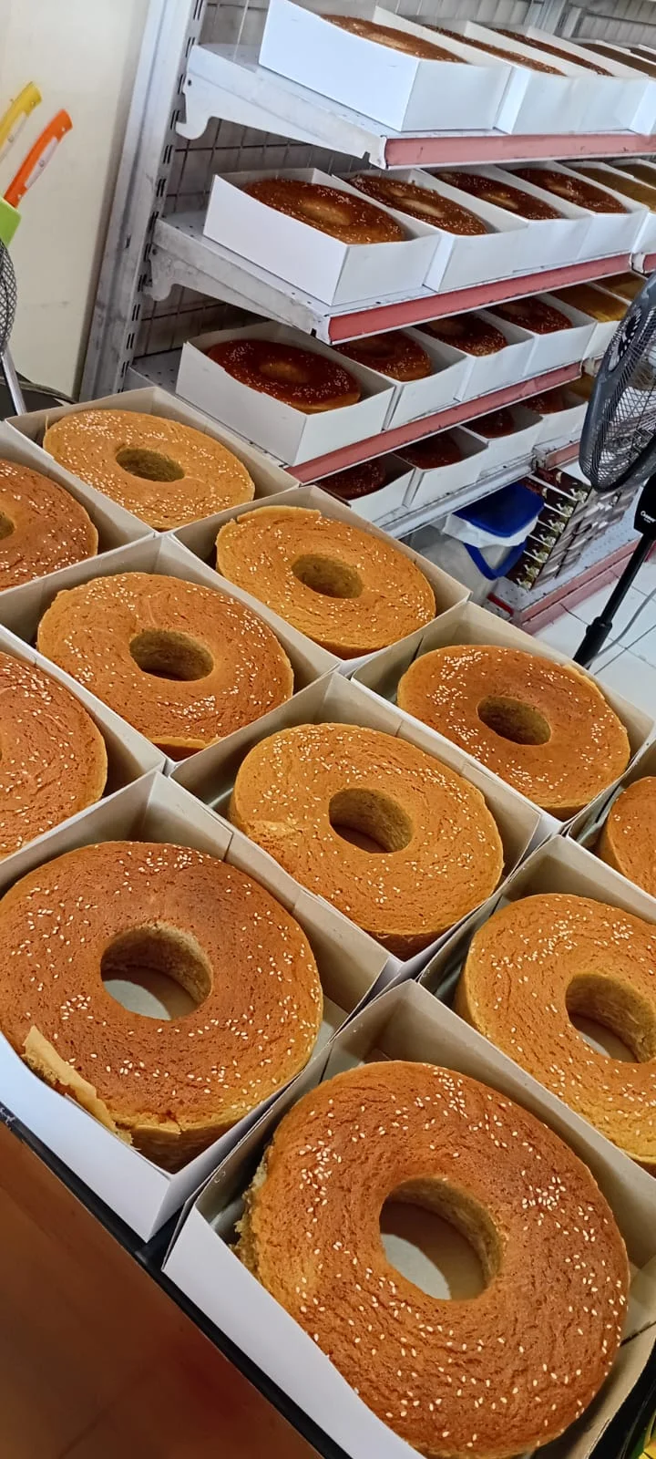 Bolu Pisang