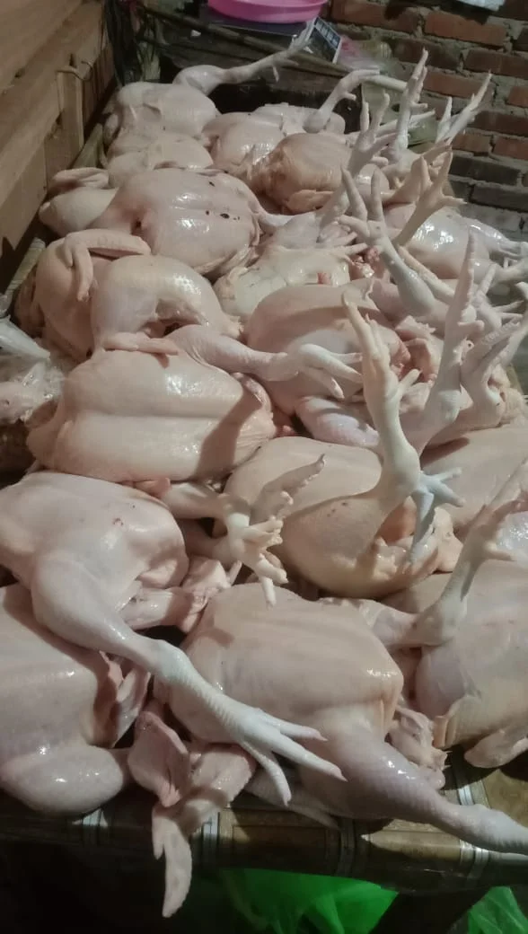 Glondongan ayam
