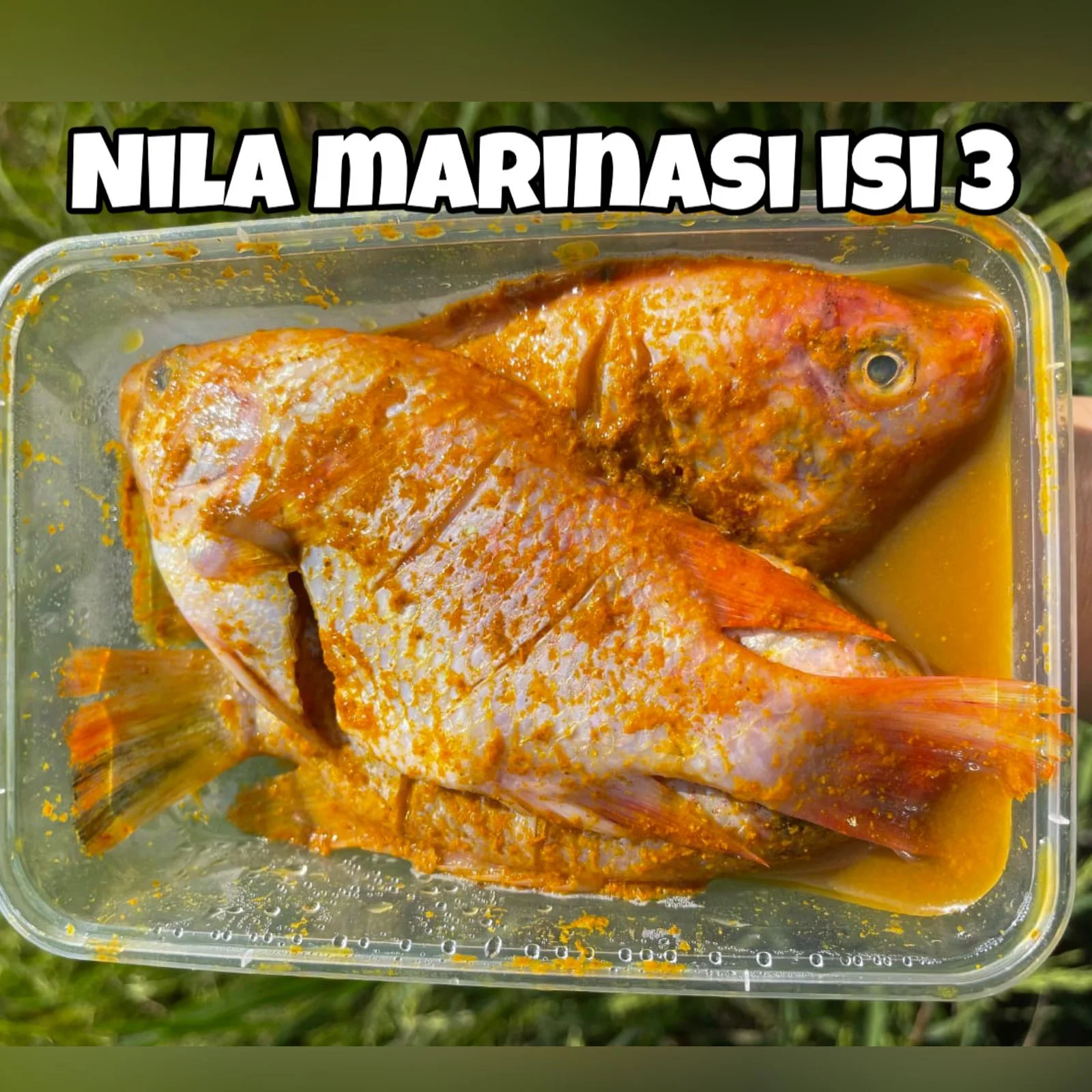 Nila marinasi