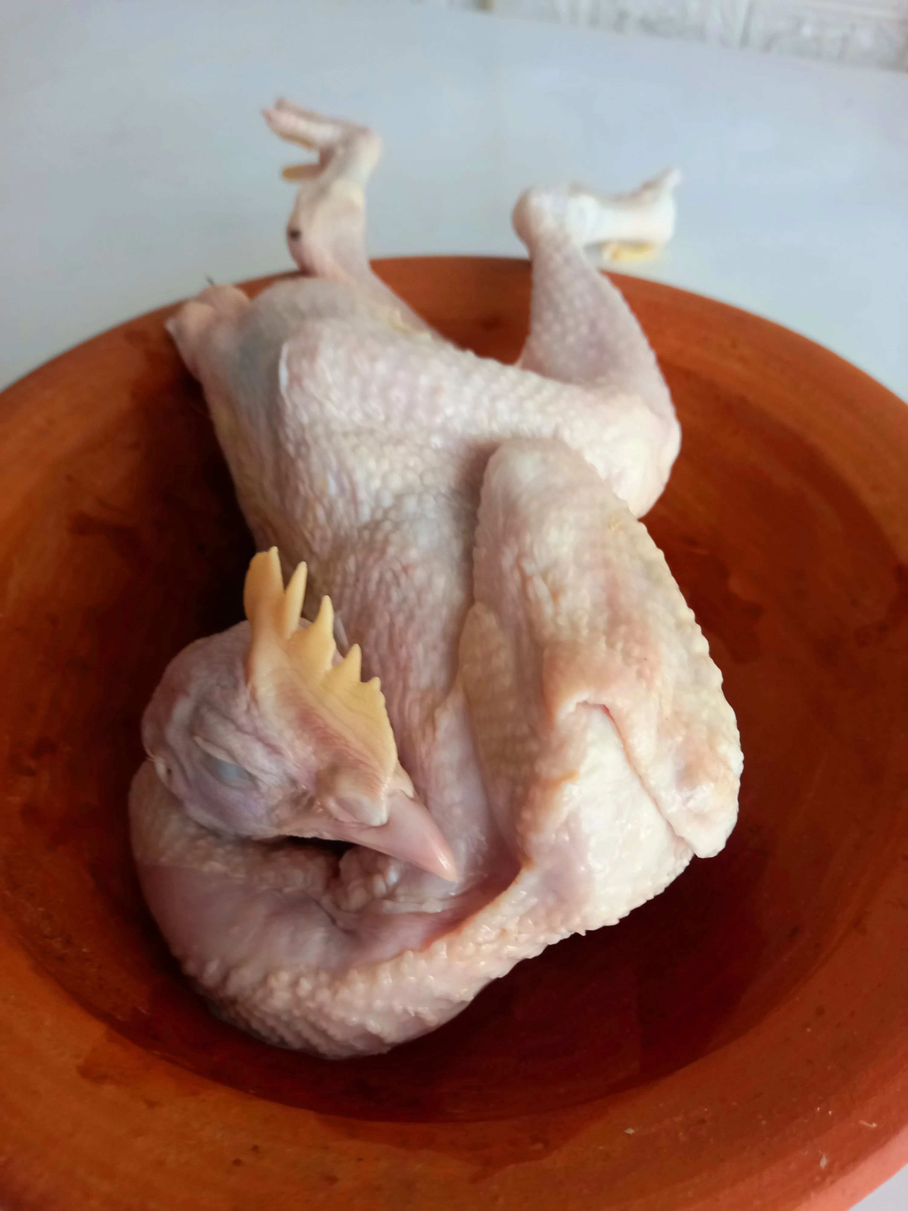 Ayam Karkas pejantan