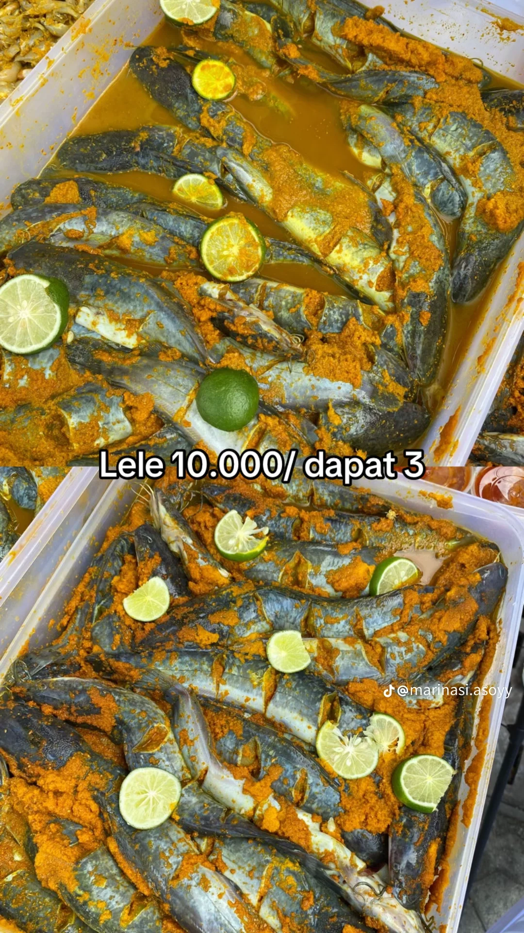 lele marinasi