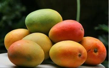 Mangga gincu indramayu