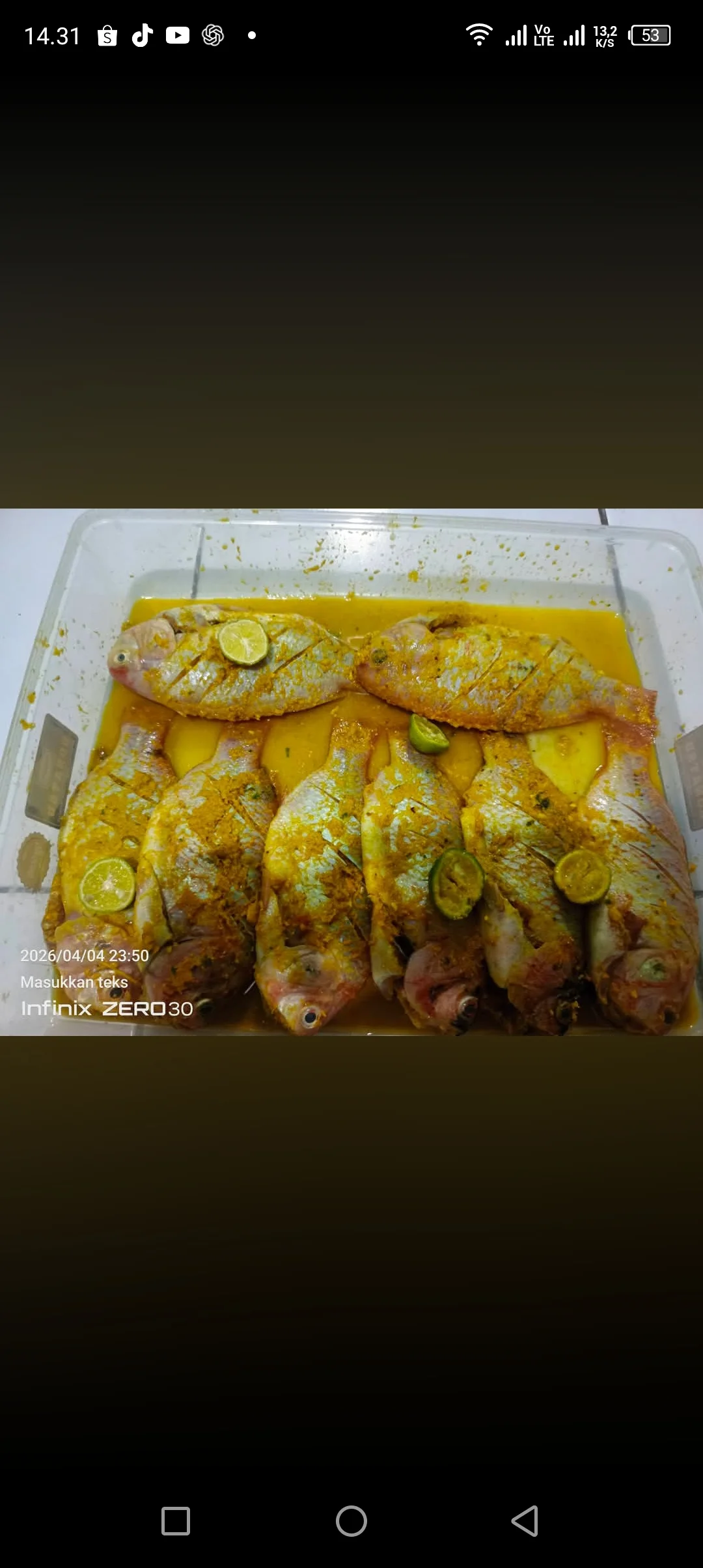 Ikan mas Marina