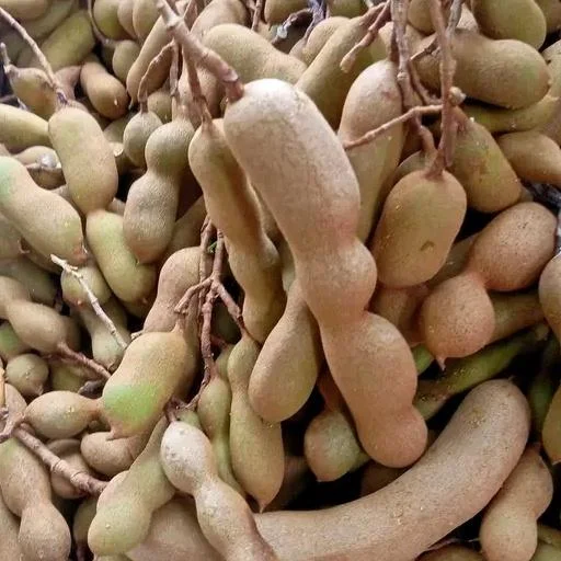 Asam mentah