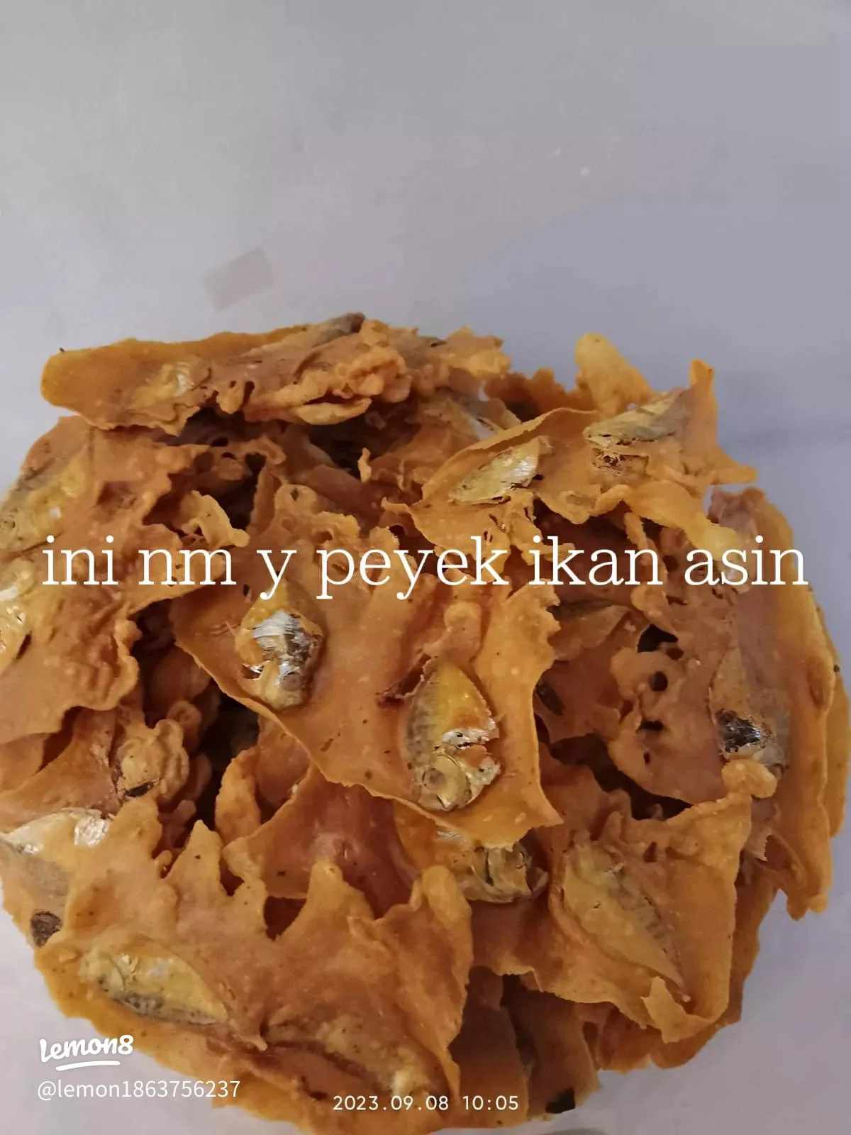 Grejeg ikan