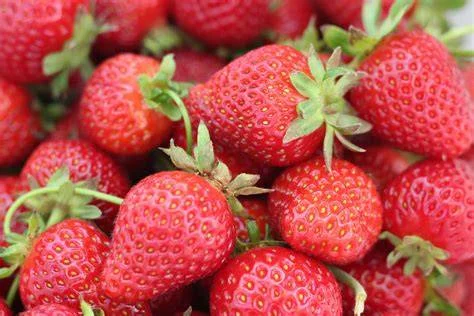 Strawberi