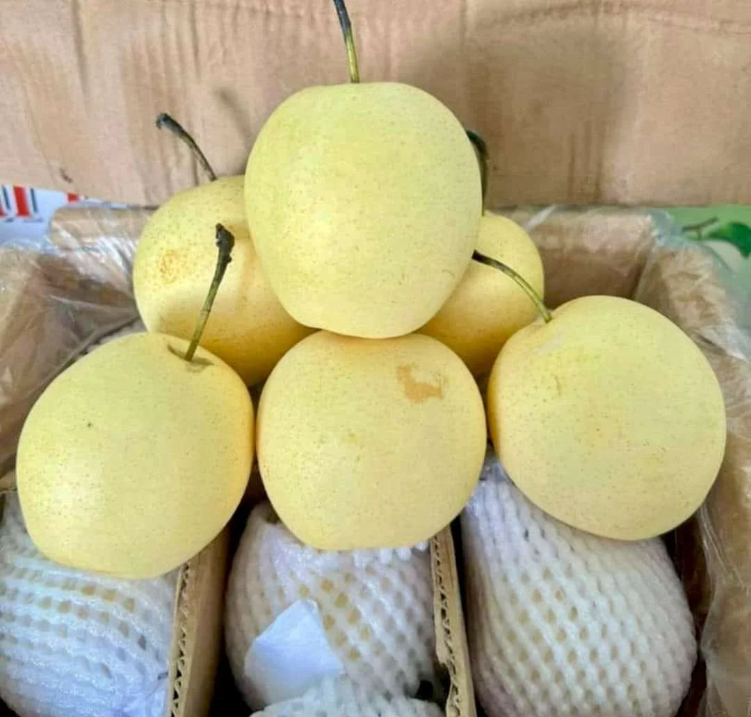 Buah pir