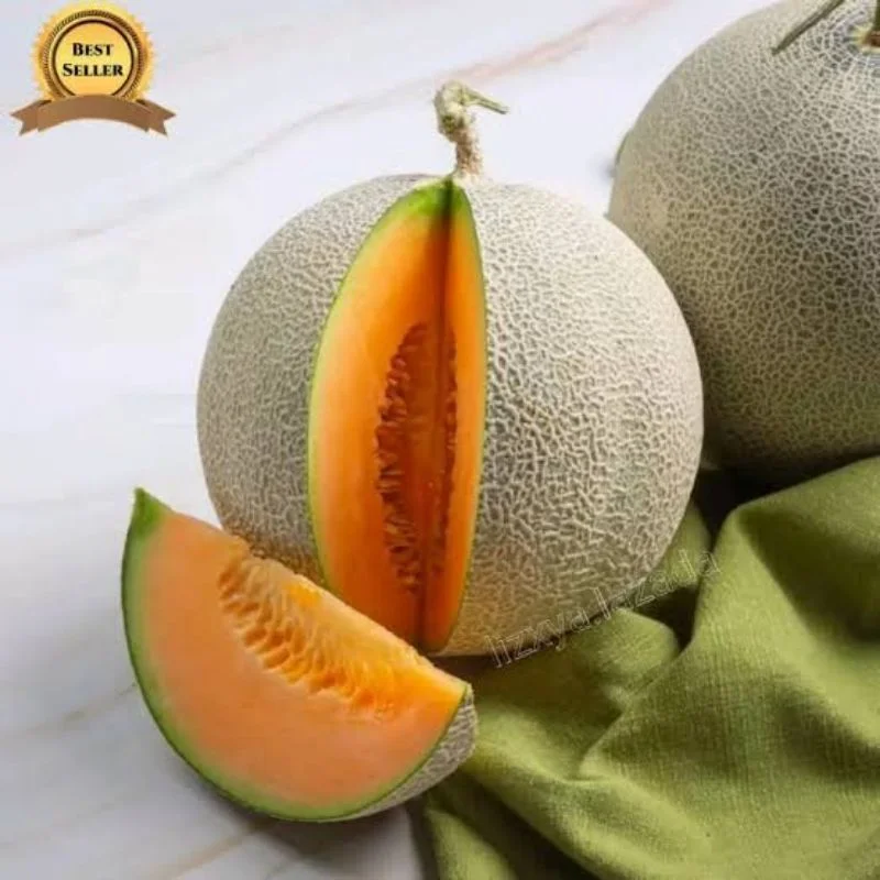 Melon MADU