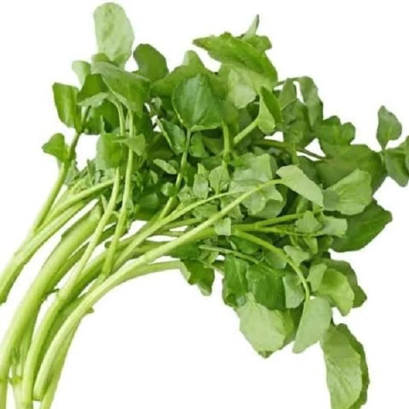 Salada air
