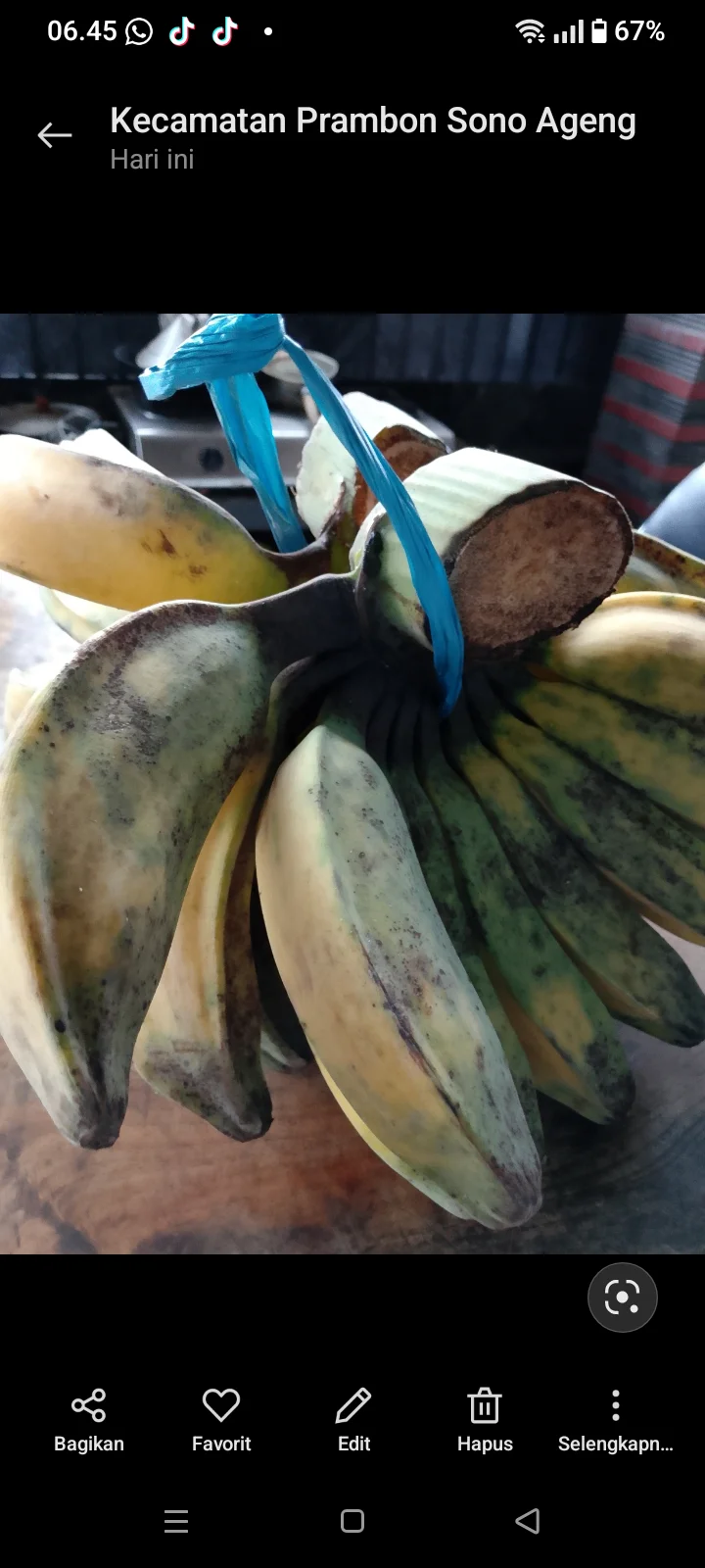 Pisang kepok