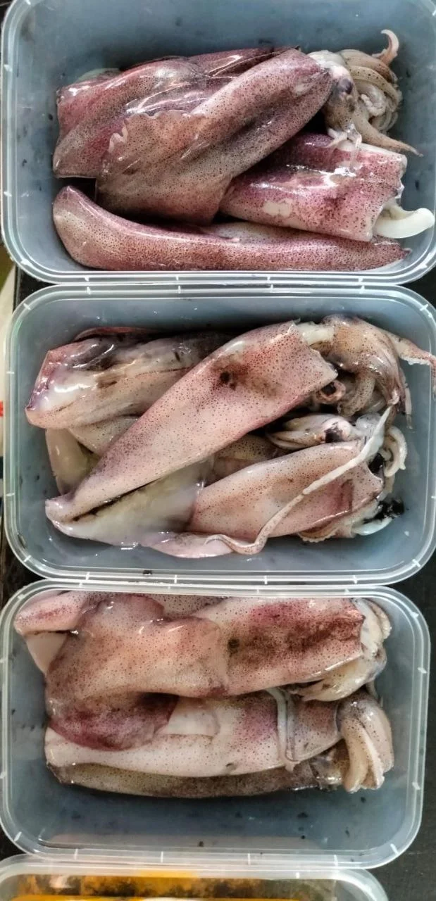 Cumi bunga