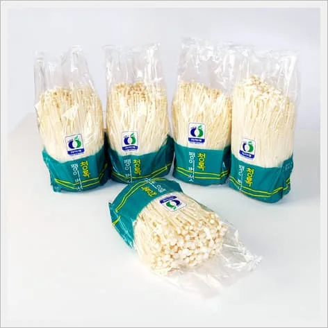 jamur enoki