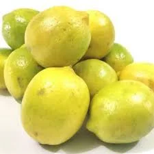 jeruk lemon lokal