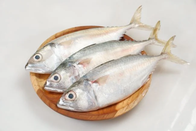 ikan kembung