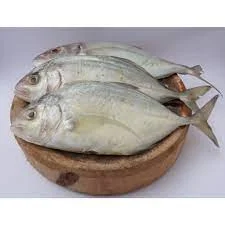ikan kuwe