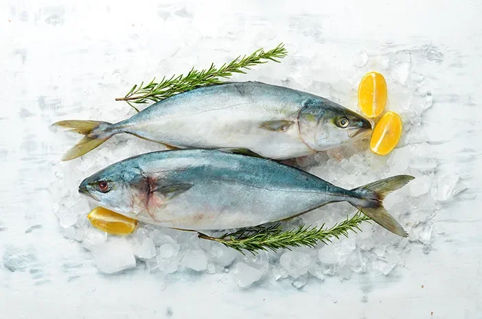ikan tuna