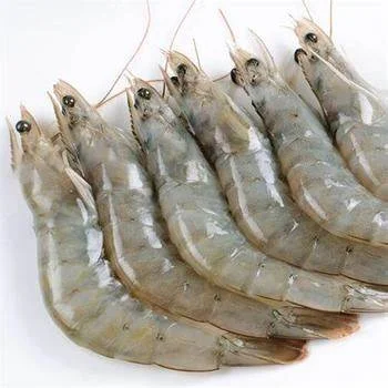 udang vaname jumbo