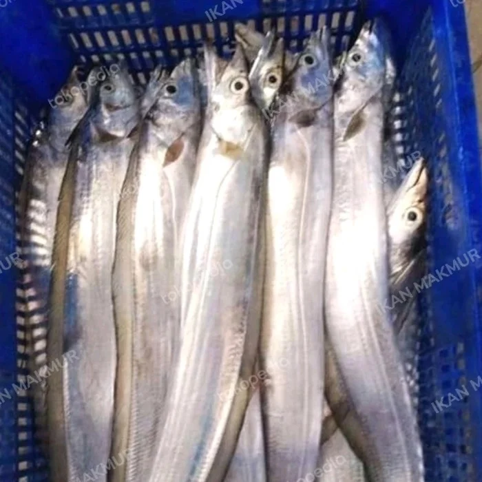 ikan layur