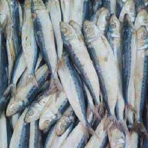 ikan asin langsar