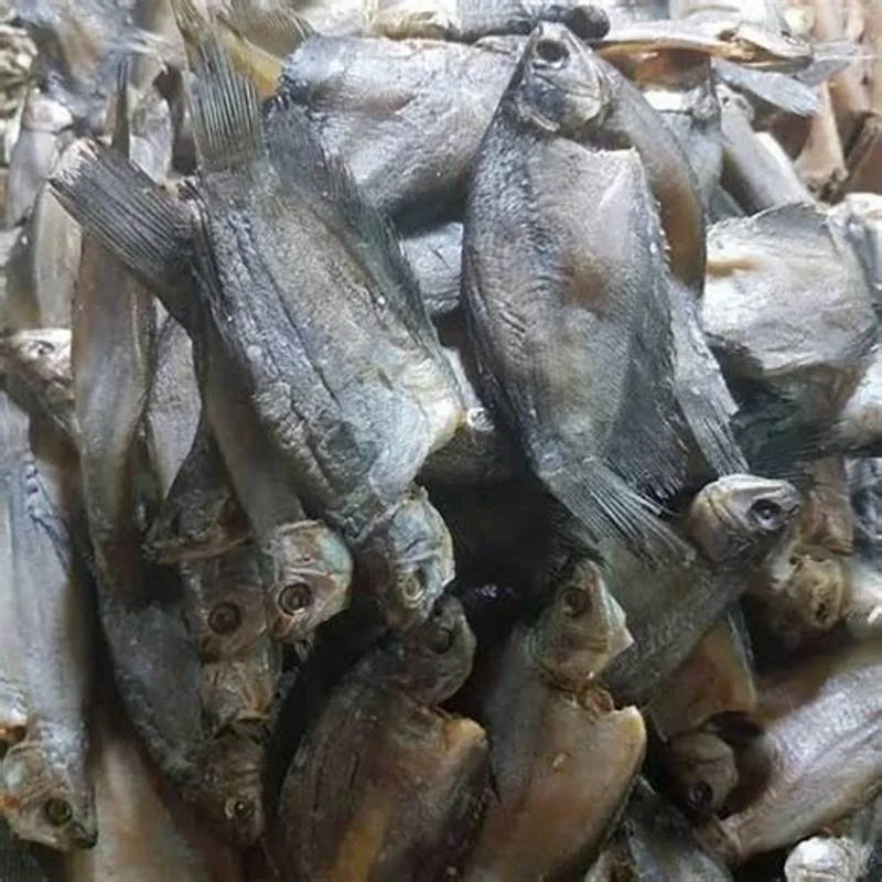 ikan asin sepat