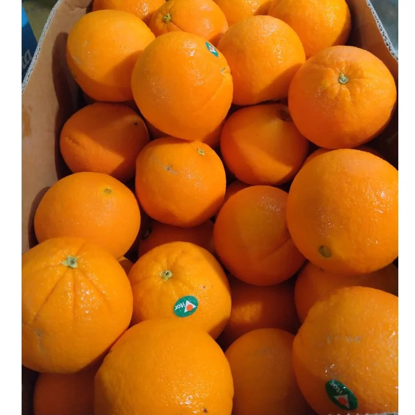sunkist nevel
