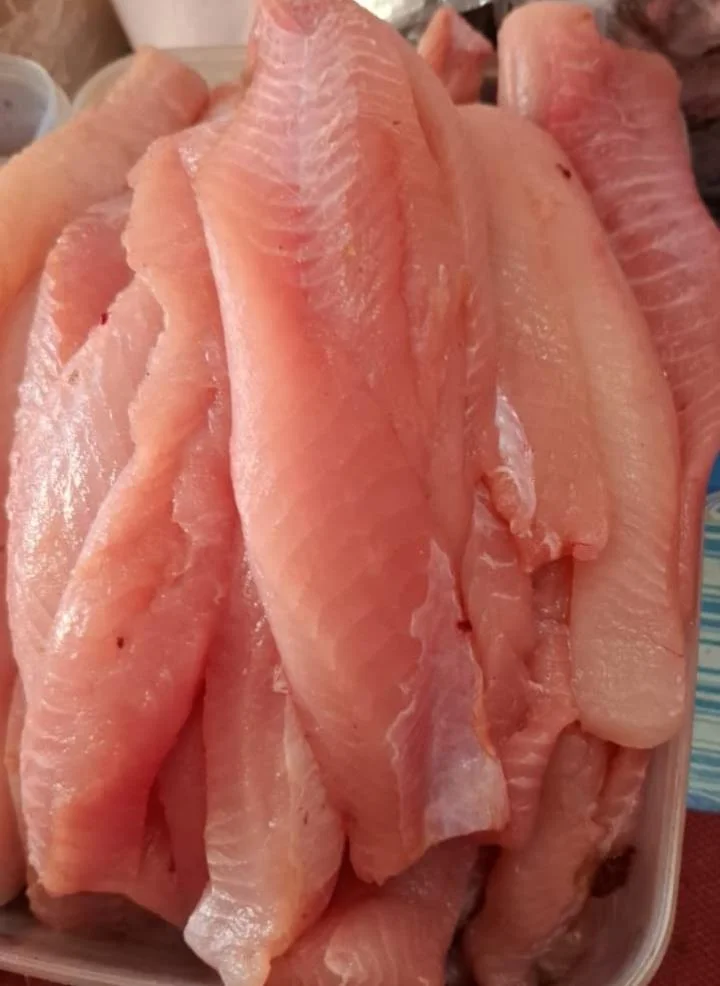 Gabus Filet