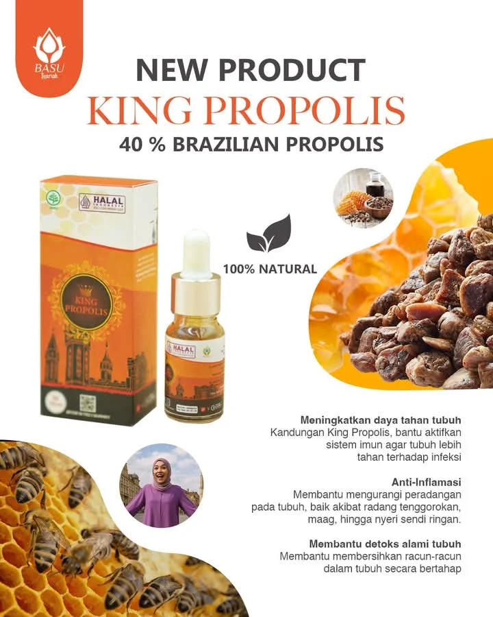 KING PROPOLIS BRAZILIAN