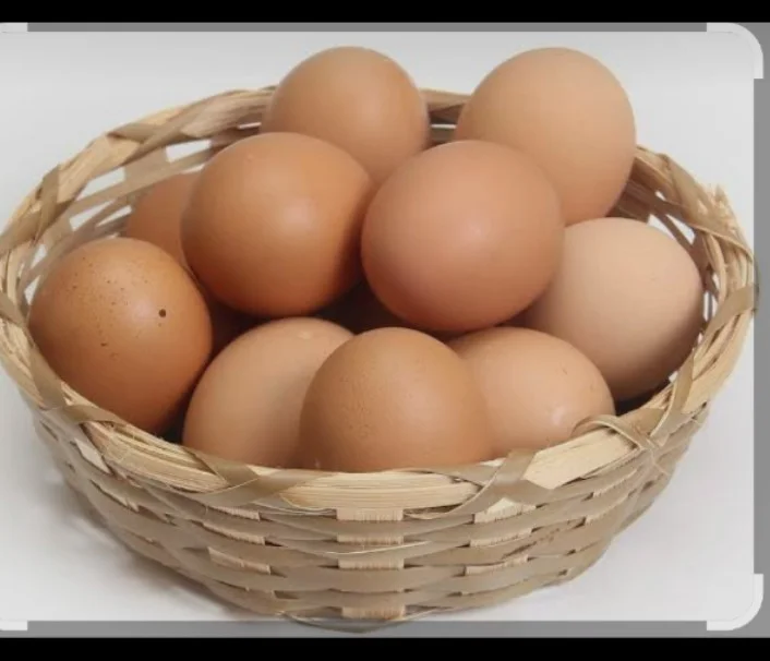 Telur ayam
