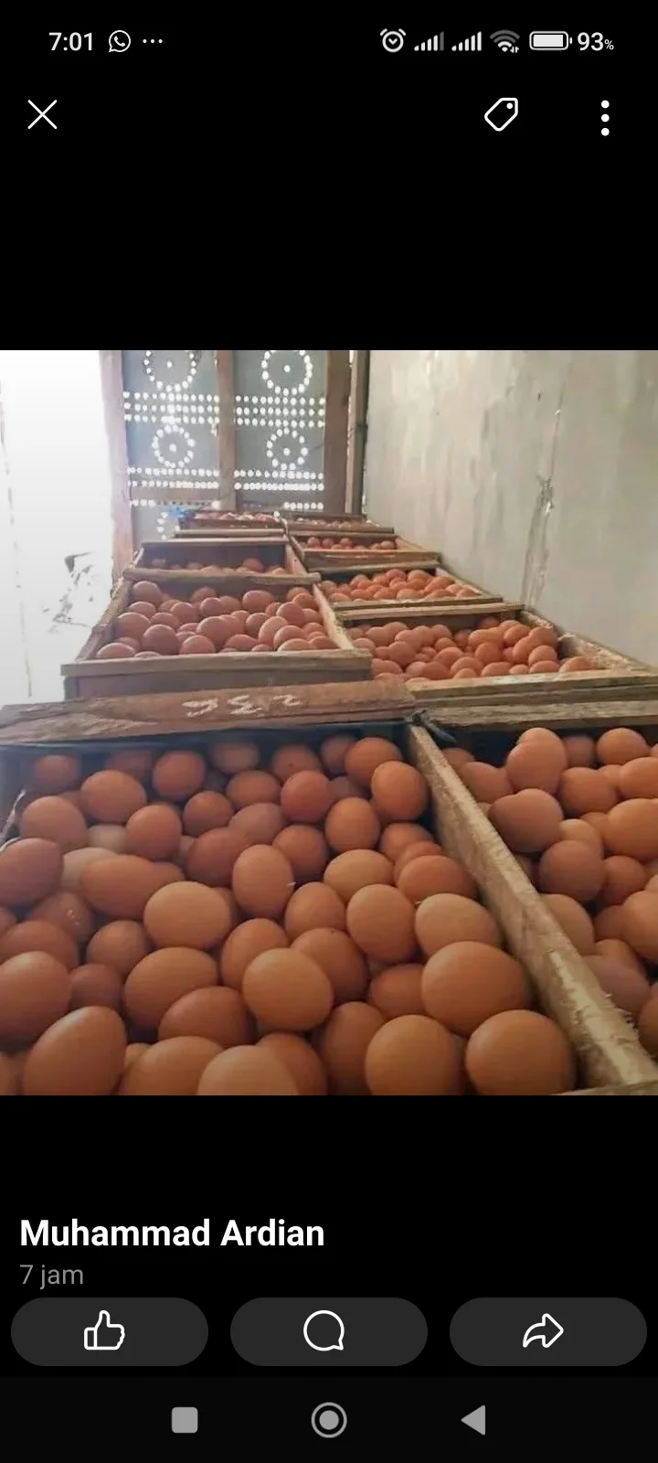 Telor 1kg