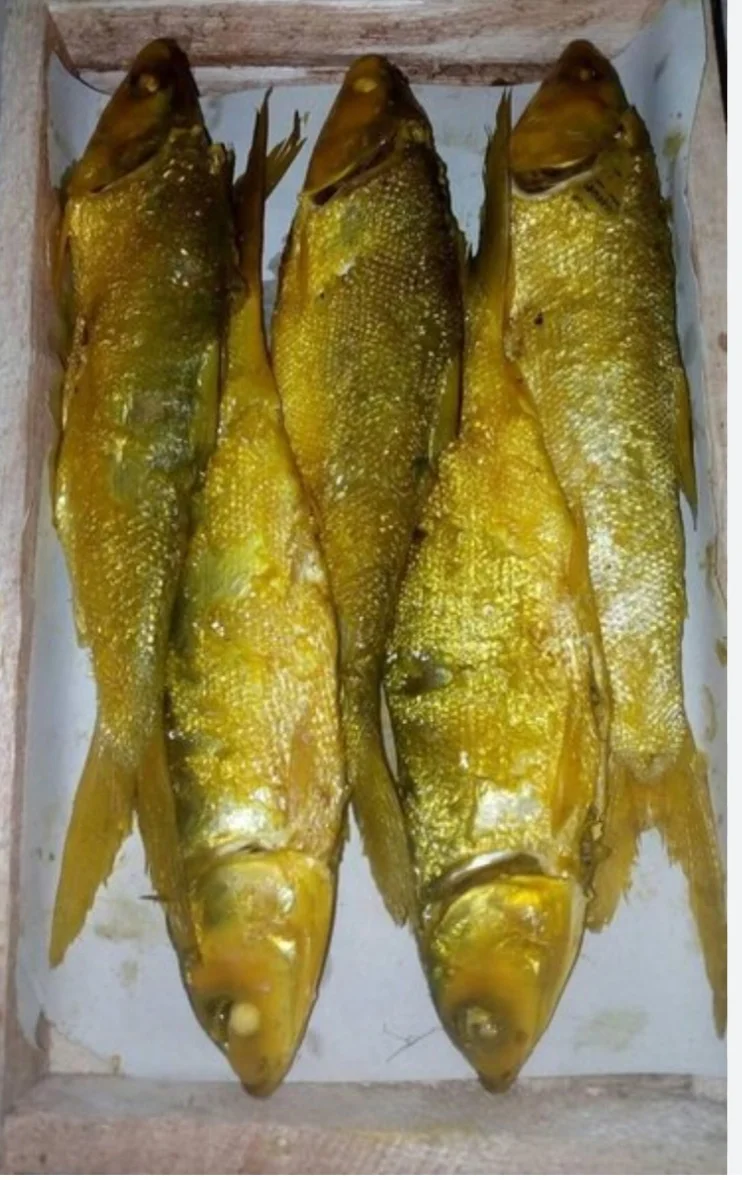 Ikan bandeng presto