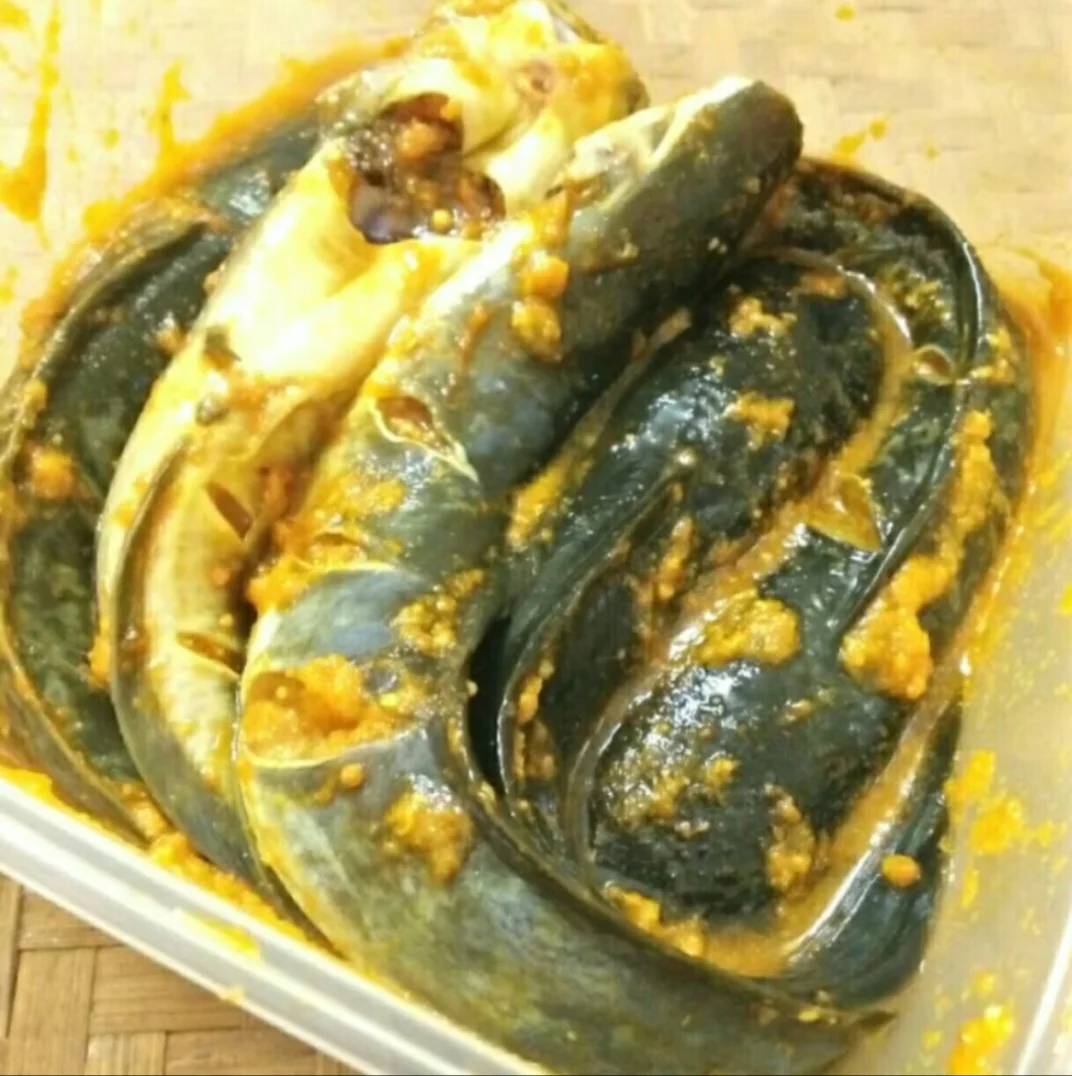 Lele bumbu kuning