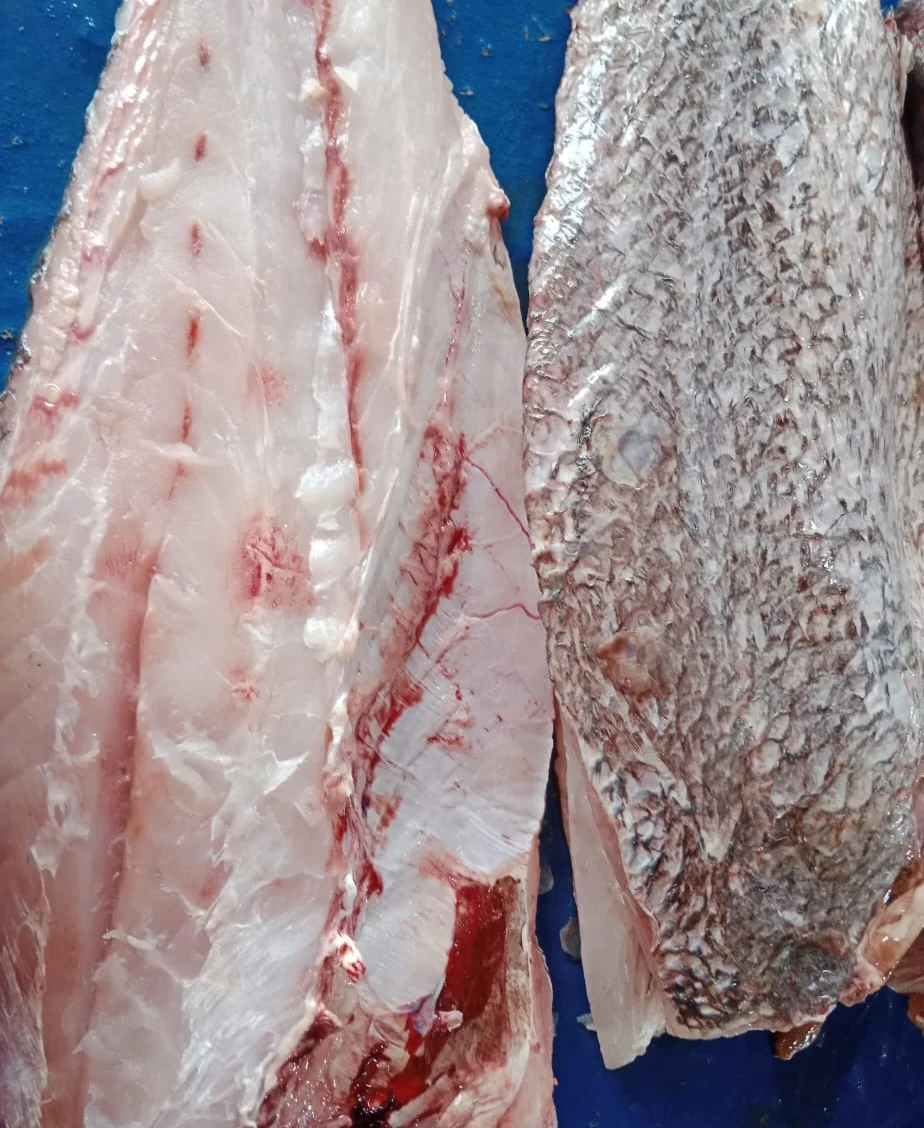 Kakap fillet